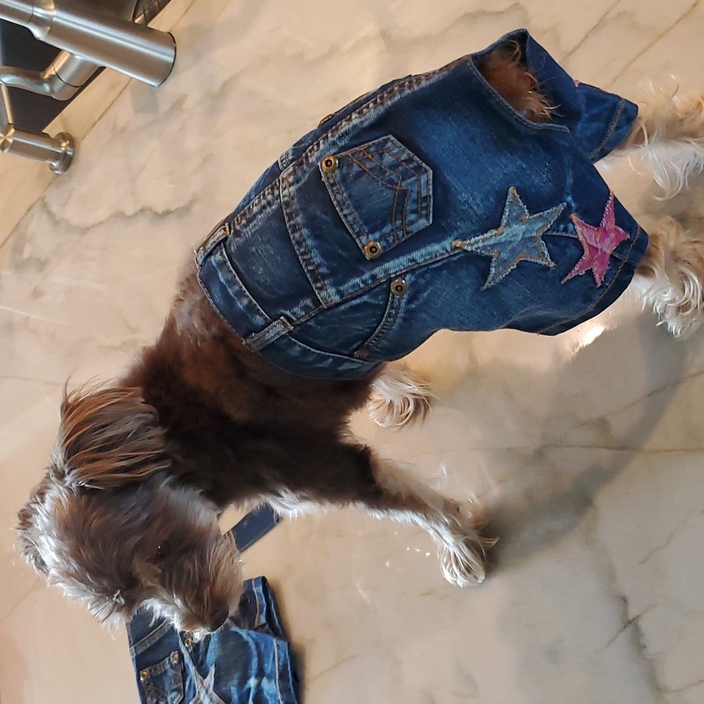 Dog jeans size medium/large